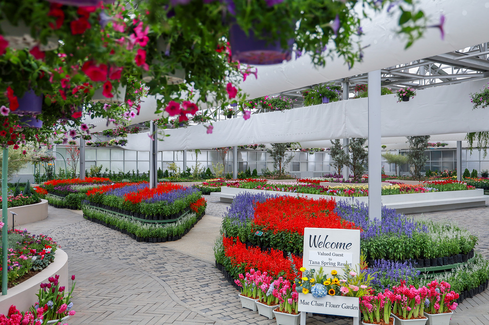 Mae Chan Flower Garden